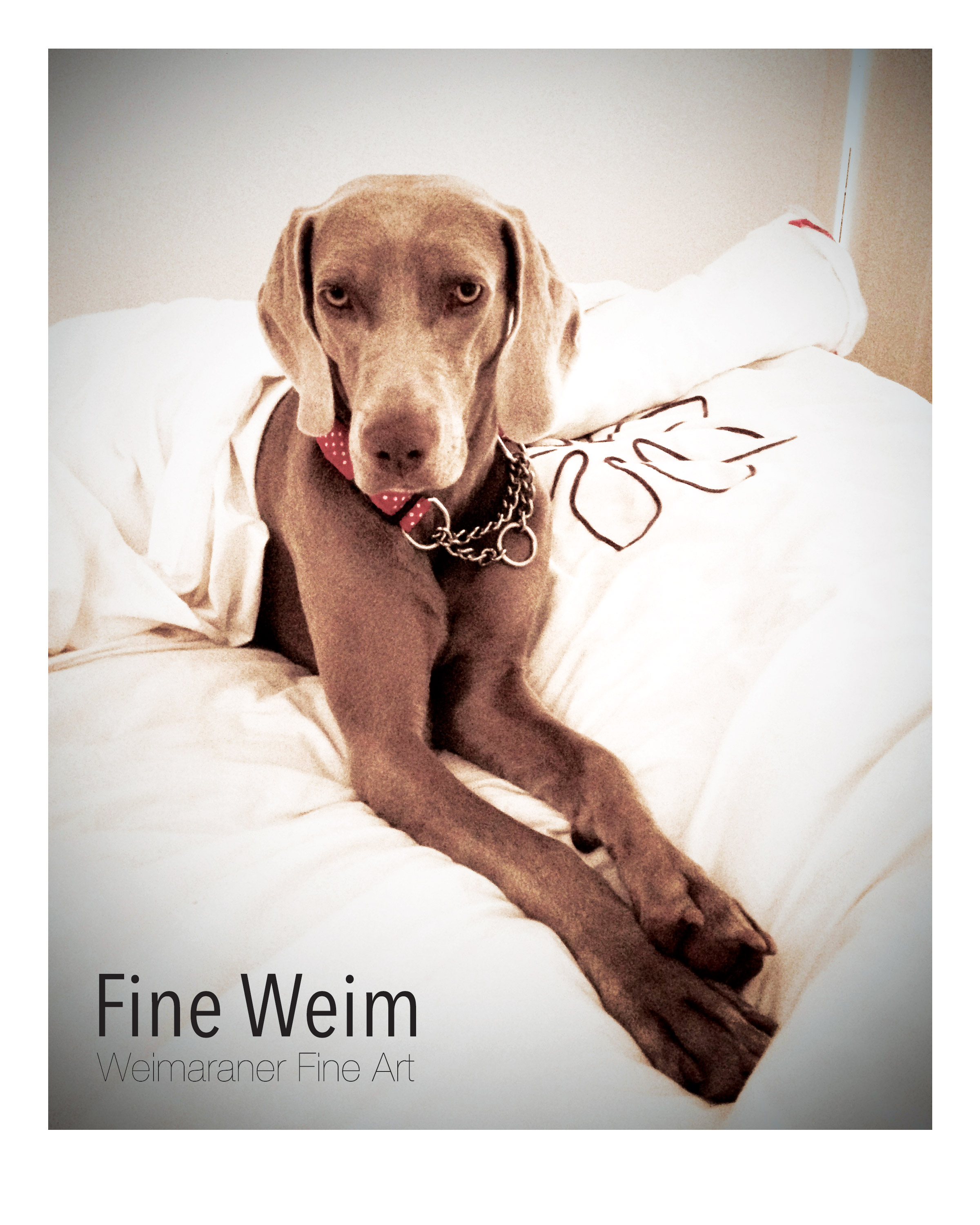 Some Weim time - Signed, Limited Edition Print